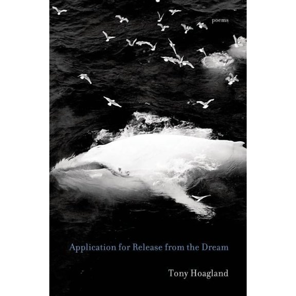 Application for Release from the Dream