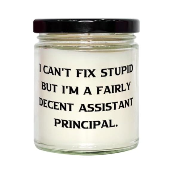 Appreciation Assistant Principal Gifts, I Can't Fix Stupid but I'm, Best Birthday Scent Candle for Colleagues, from Friends, Scented Candles, Candle Gift, Nice Candles, Best Scented Candles, Luxury
