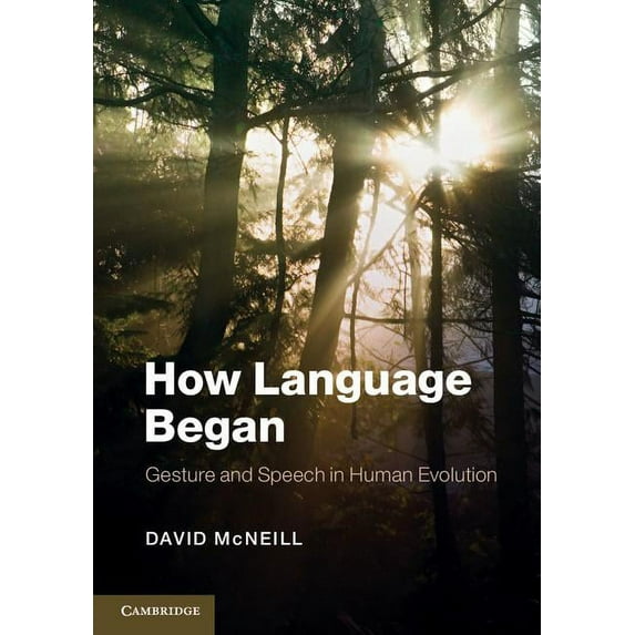 Approaches to the Evolution of Language How Language Began: Gesture and Speech in Human Evolution, (Paperback)