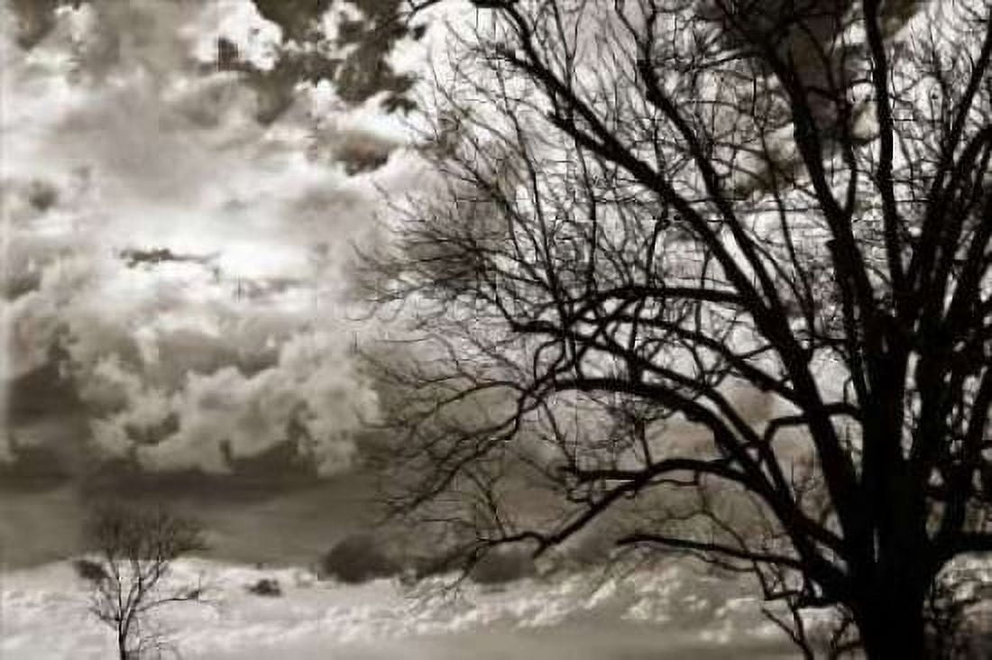 Approaching Storm I Canvas Art - Alan Hausenflock (24 x 36)