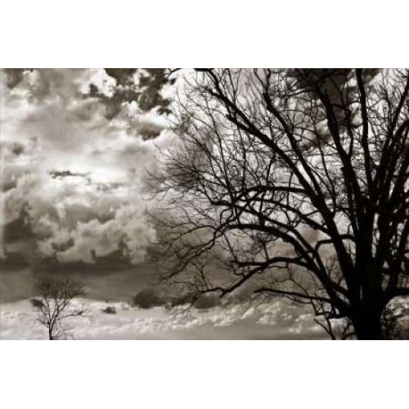 Approaching Storm I Poster Print by Alan Hausenflock (12 x 18)