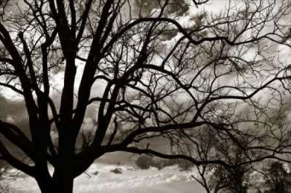 Approaching Storm II Canvas Art - Alan Hausenflock (24 x 36)