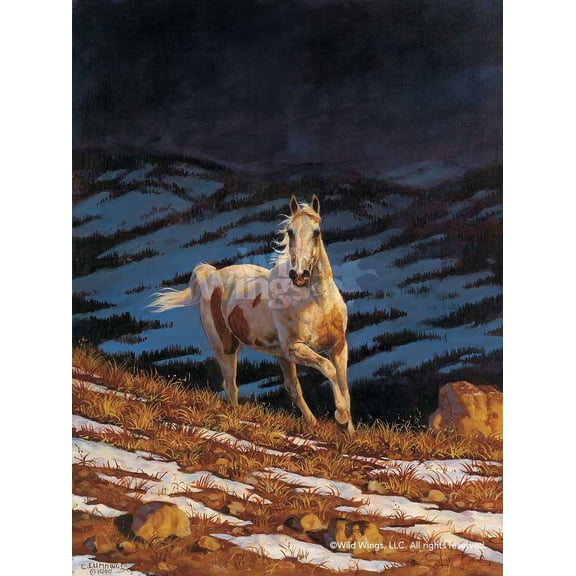 Approaching Storm StallionHorse