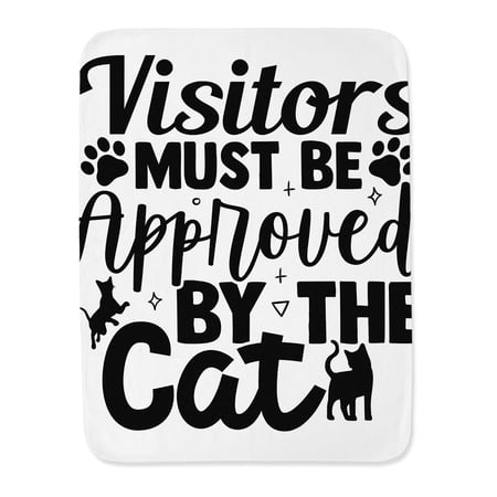 Approved By The Cat Blanket -Image by Shutterstock,
