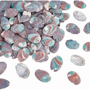 Approx.110pcs Natural Green Abalone Seashell 2 Inch Ocean Beach Sea Shells Small Craft Shell Ornament with Hole for DIY Craft Summer Party Table Wind Chime Costume Decoration 500g