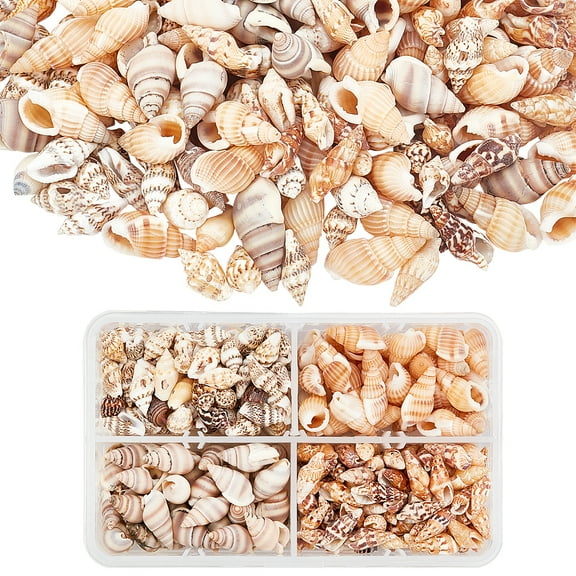 Approximately 330pcs Spiral Shells 4 Styles Natural Ocean Beach Shells Without Hole for Jewelry Bracelet Crafts Home Decorations Aquarium and Pot Filler for DIY