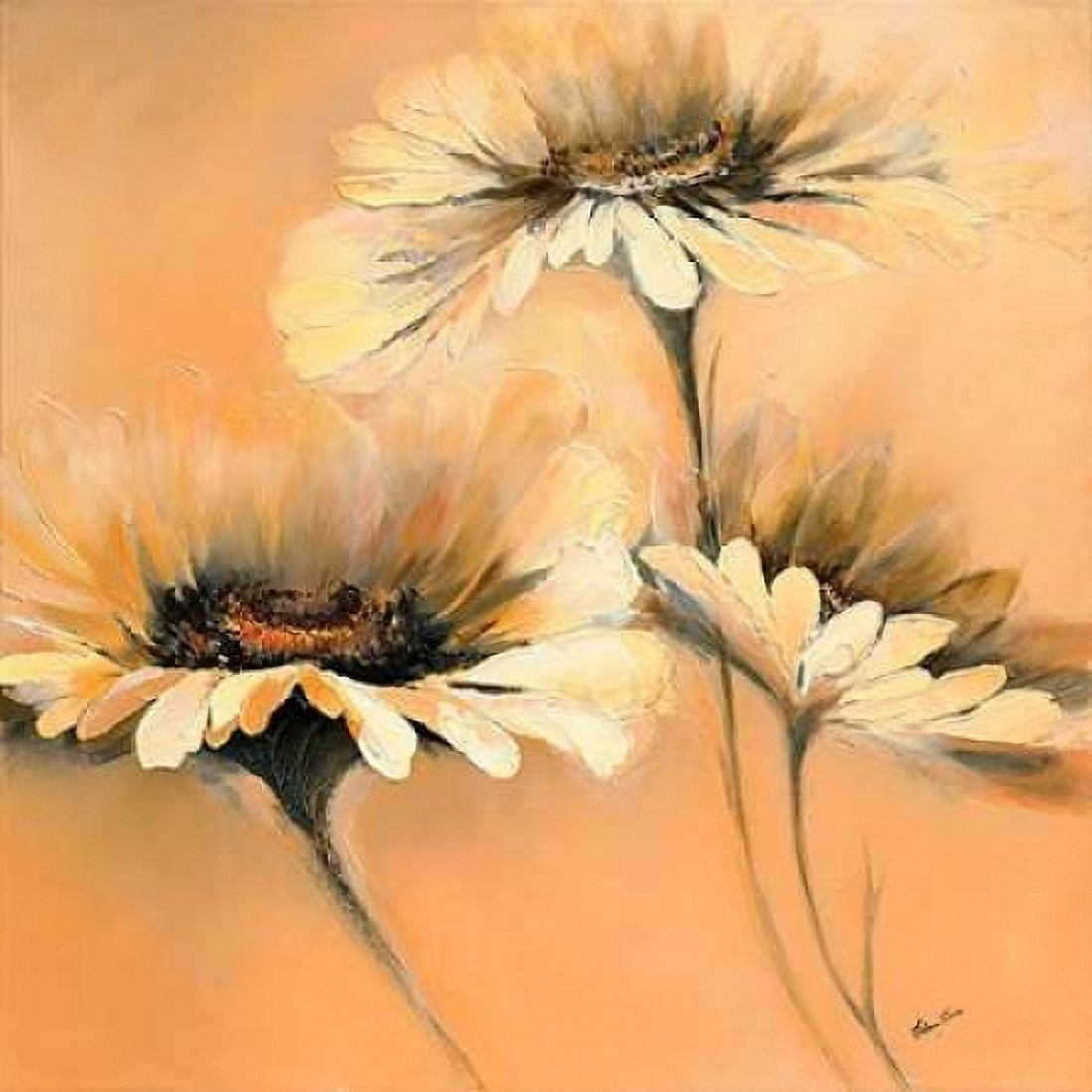Apricot Summer I Canvas Art - Elena Filatov (24 x 24)