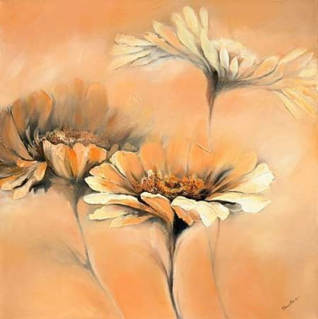 Apricot Summer II Canvas Art - Elena Filatov (24 x 24)