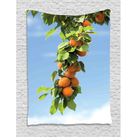 Apricot Tapestry, Ripe Apricots on Tree Green Leaves Around Blue Sky Print, Wall Hanging for Bedroom Living Room Dorm Decor, 40W X 60L Inches, Orange Green and Pale Azure Blue, by Ambesonne