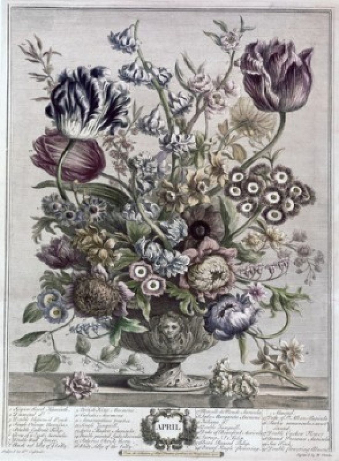 April 1730 H Fletcher (ca18th C British) Lithograph Canvas Art - H Fletcher (18 x 24)