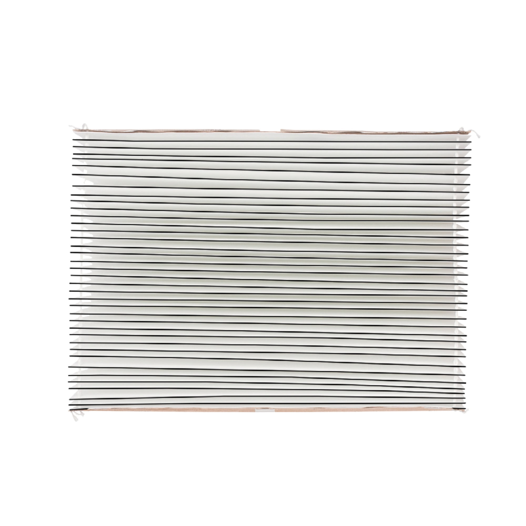 Aprilaire 16x25x6 Pleated Air Purifier Filter