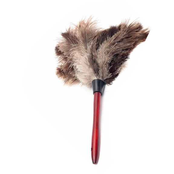 Apuakthei Effortless Furniture Cleaning Tool Wooden Handled Natural Ostrich Feather Duster