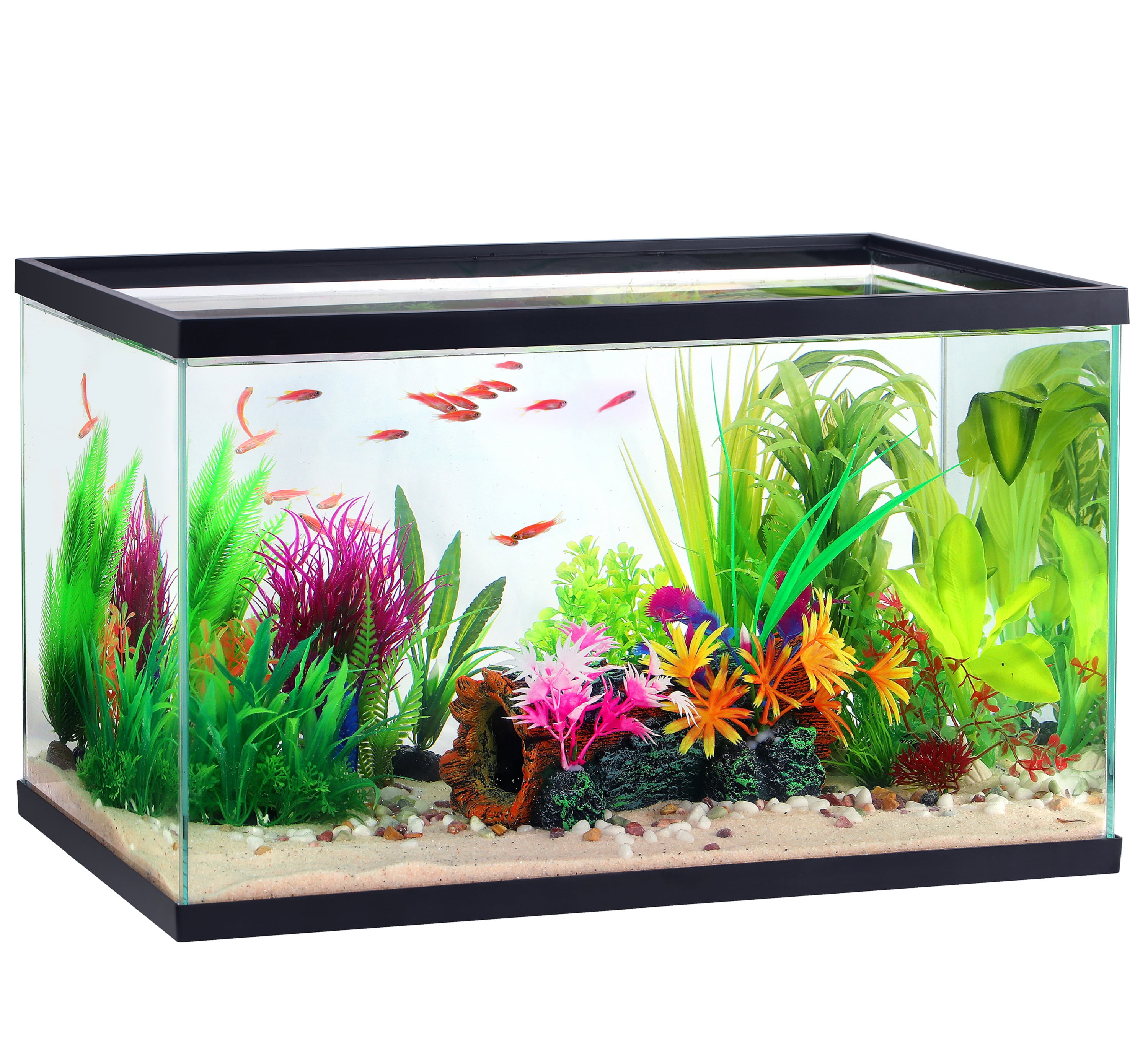 Aqua Culture 10 Gallon Transparent Glass Tank Walmart