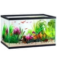 thumbnail image 1 of Aqua Culture Large 10-Gallon Transparent Glass Aquarium Breeder Tank, 1 of 5