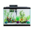 thumbnail image 1 of Aqua Culture 20-Gallon Glass Aquarium Starter Kit with LED (Online Only Price), 1 of 9