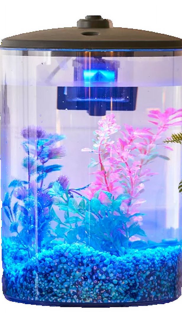 Aqua Culture 3-Gallon Plastic Aquarium with LED Light and Power Filter - image 1 of 7