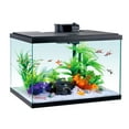 thumbnail image 1 of Aqua Culture Glass 20 gal Aquarium Starter Kit, Black, 1 of 11