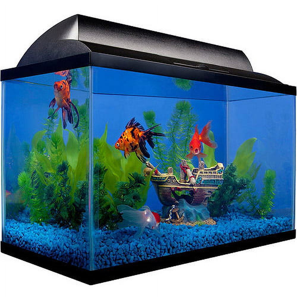 Fish tank prices walmart top