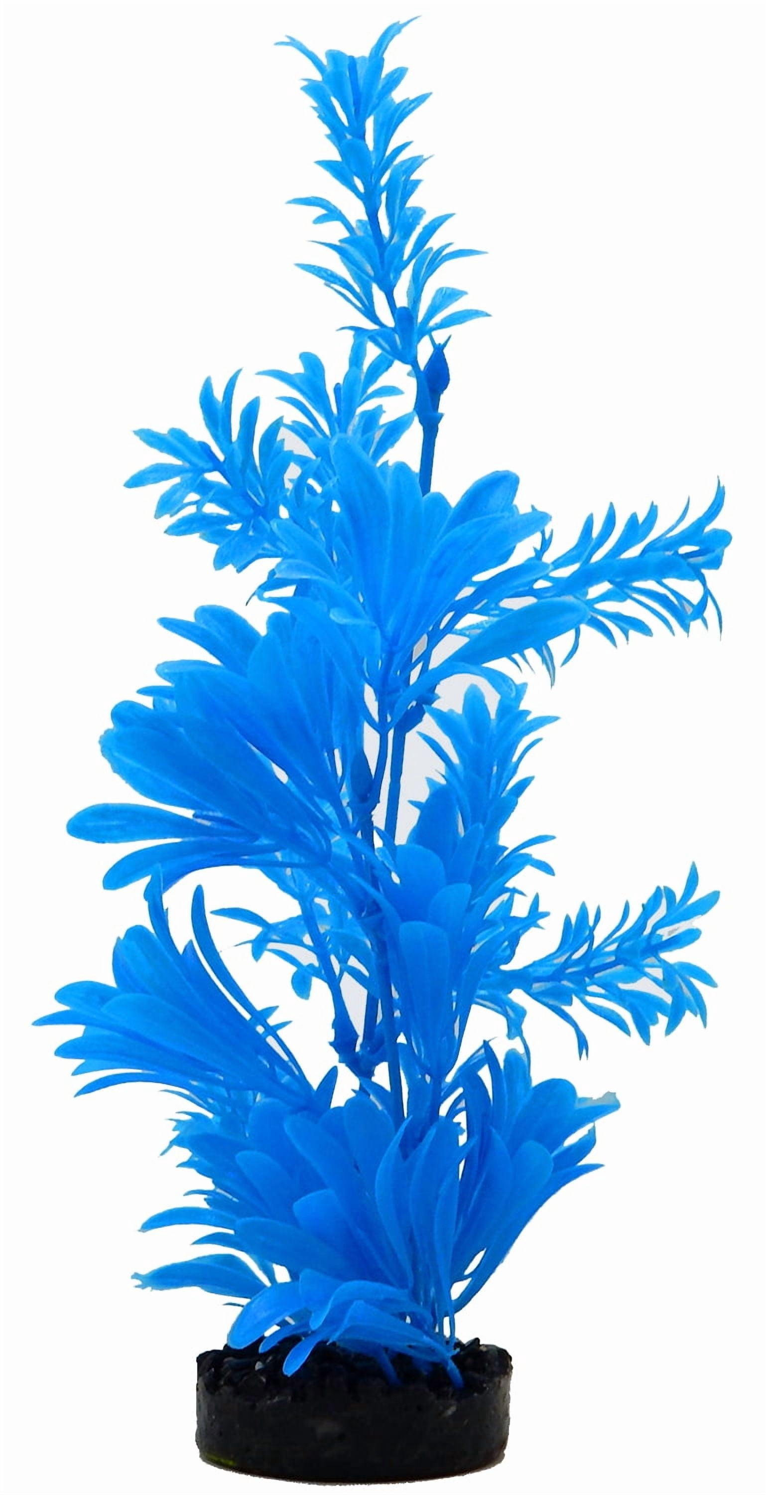Aqua Culture Water Bouquet Aquarium Plant - Bright Color