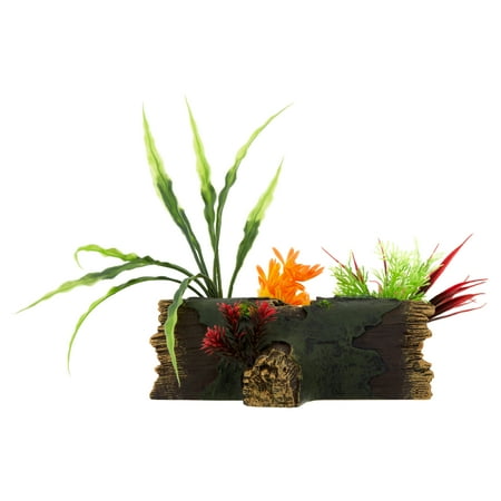 Aqua Culture XL Wood Aquarium Ornament, Assorted Style May Vary