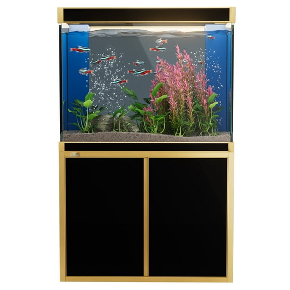 Aqua Dream 100 Gallon All-in-One Aquarium Kit | Black & Gold Trim | Ultra-Clear Tempered Glass Tank, Stand, 920 GPH Sump & Tri-Color LED