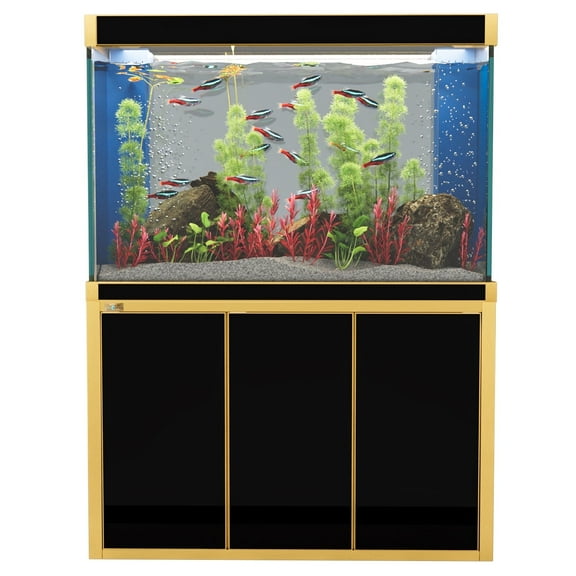 Aqua Dream 175 Gallon All-in-One Aquarium Kit | Black & Gold Trim | Ultra-Clear Tempered Glass Tank, Stand, 1200 GPH Sump Filtration & LED