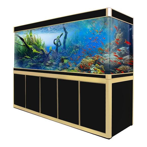 Aqua Dream 400 Gallon Tempered Glass All-in-one Aquarium Black and Gold