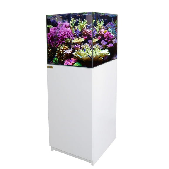 Aqua Dream Living 50 Gallon Aquarium Tank with Ultra Clear Glass and Built-in Sump, White