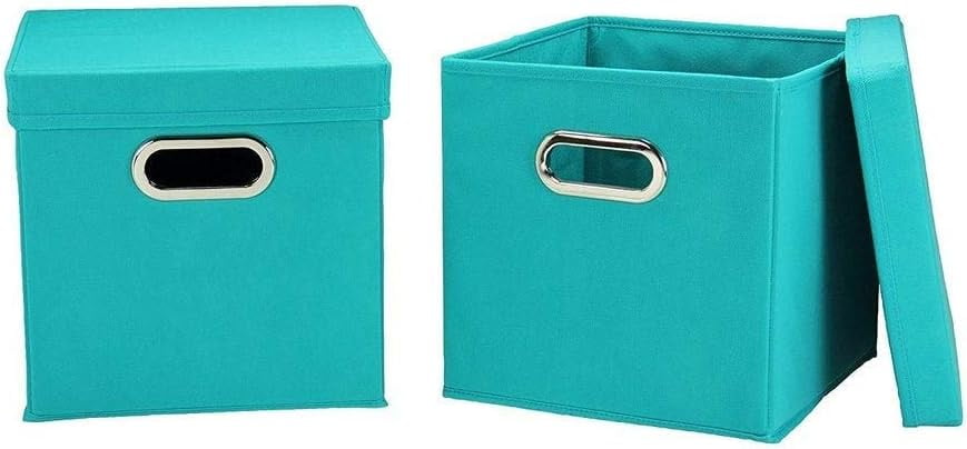 Aqua 11" Fabric Collapsible Lidded Storage Cubes (Set of 2)