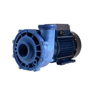 Aqua Flo 1 Speed 2 HP 48F 230V Spa Pump with 8 ft. Amp Cord