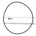 thumbnail image 1 of Aqua-Flo AF92200301 Housing Volute XP2 XP2E O-Ring, 1 of 1