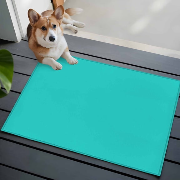 Aqua Green 2x3 Area Rugs for Living Room, Green Solid Color Non Slip Floor Mat Washable Low-Profile Indoor Carpet for Bedroom, Dining Room, Bathroom