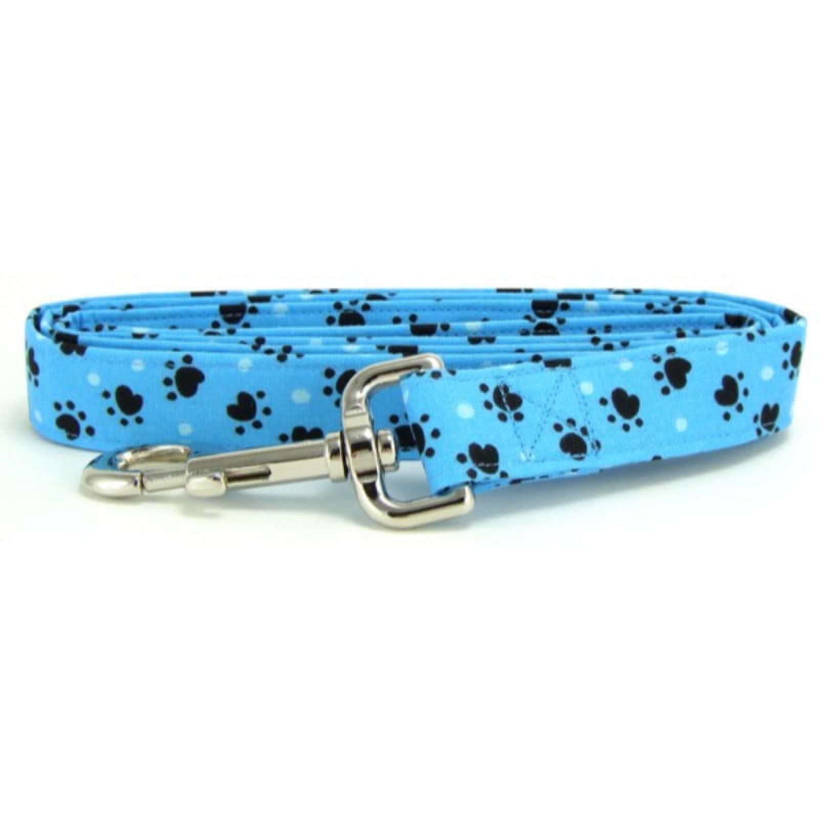 Aqua Heart Paws Dog Leash - Size - Mini