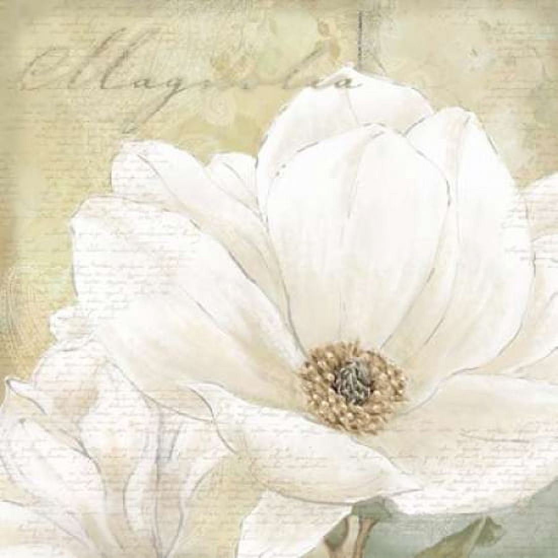 Aqua Magnolia I Canvas Art - Wood Linda (24 x 24)