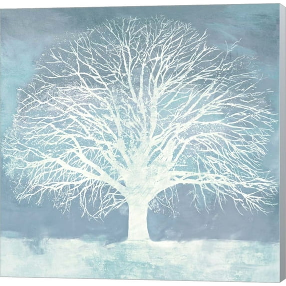 Aqua Oak by Alessio Aprile, Canvas Wall Art