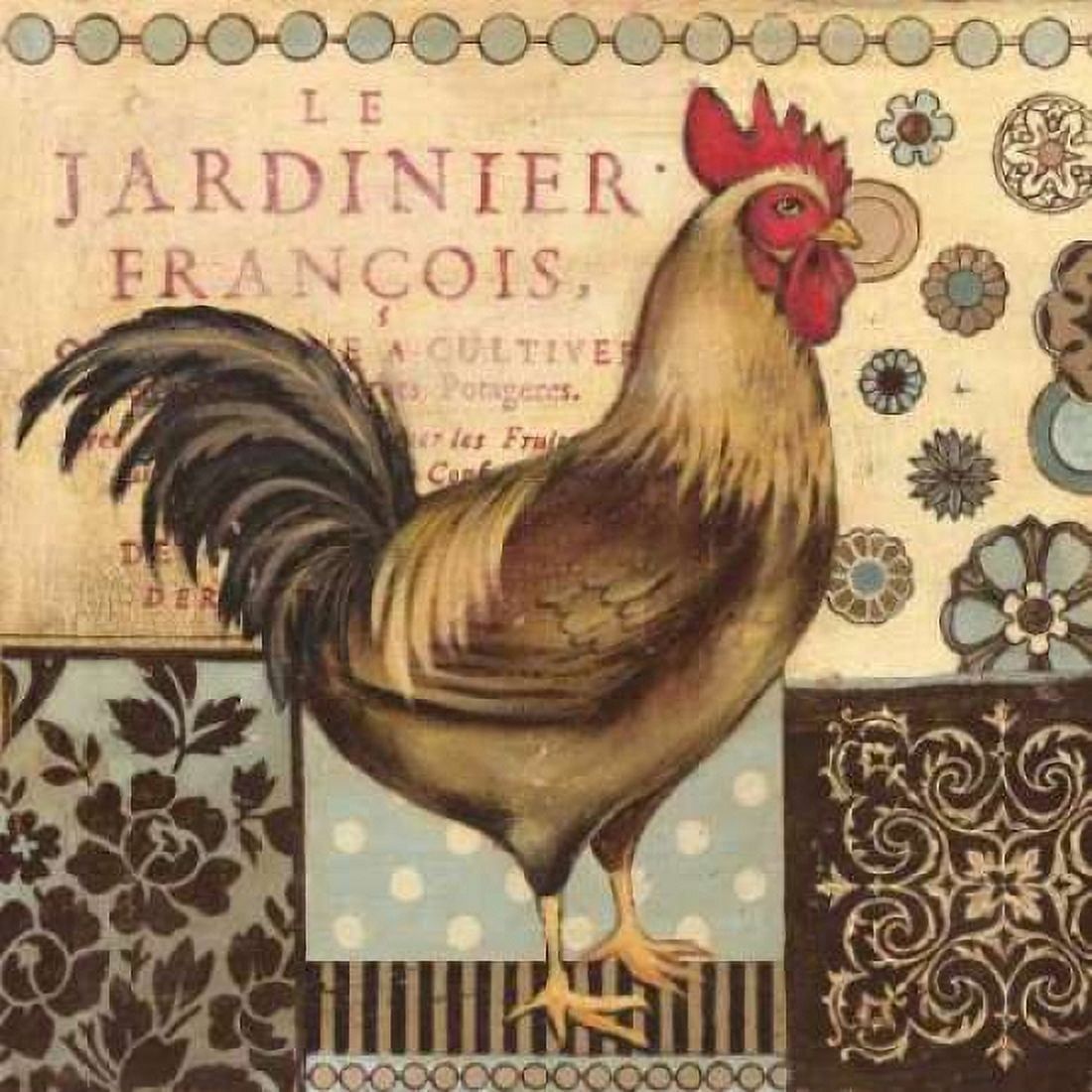 Aqua Rooster I Canvas Art - Kimberly Poloson (24 x 24)
