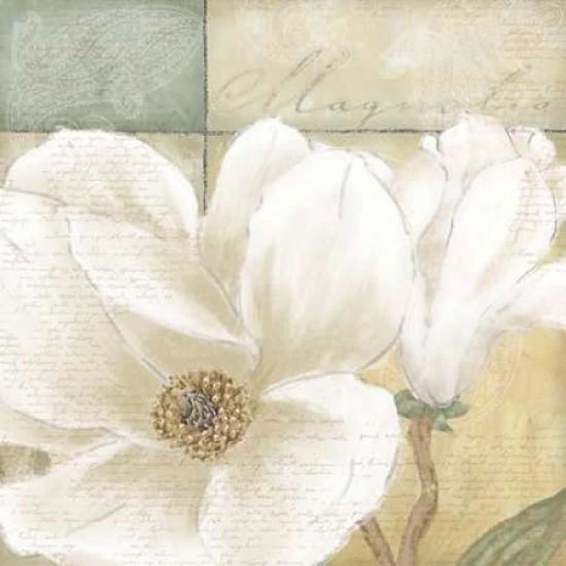 Aqua magnolia II Canvas Art - Wood Linda (24 x 24)