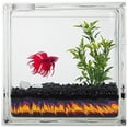 thumbnail image 1 of AquaBlock 640052648616 Aqua Betta Personal Fish Glass Aquarium, 1 of 1