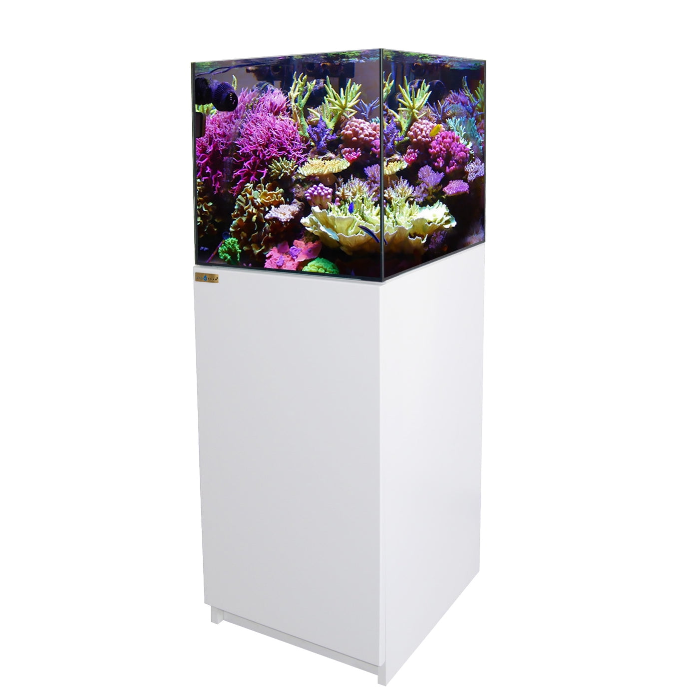 Living 50 Gallon Aquarium Tank with Ultra Clear Glass and Built-in Sump, White