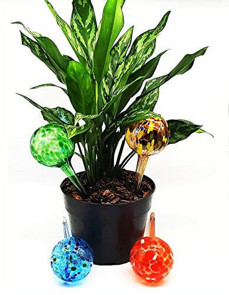 AquaPopz, Large Plant Watering Globes, Self Water Bulbs, Device for