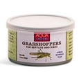 thumbnail image 1 of Aquaculture Canned Grasshoppers for Reptiles 1.2oz, 1 of 5