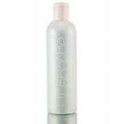 Aquage Equalizing Detangler 12 oz Detangler
