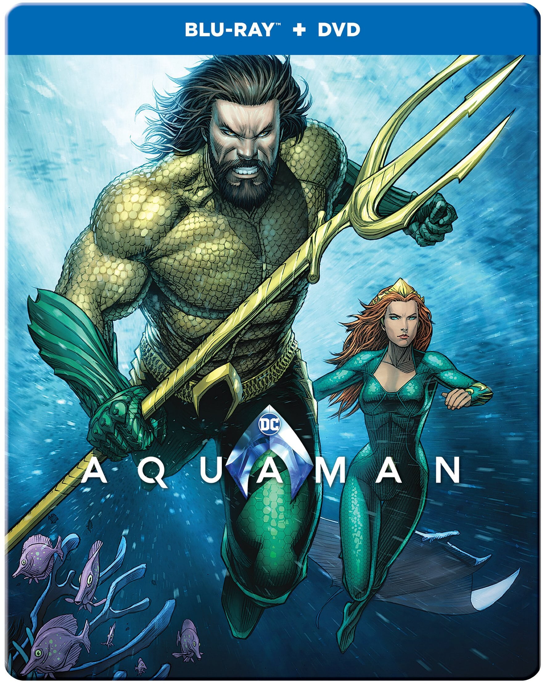 Aquaman (2DBD SteelBook/Blu-ray + DVD Combo Pack) (BD) [Blu-ray]