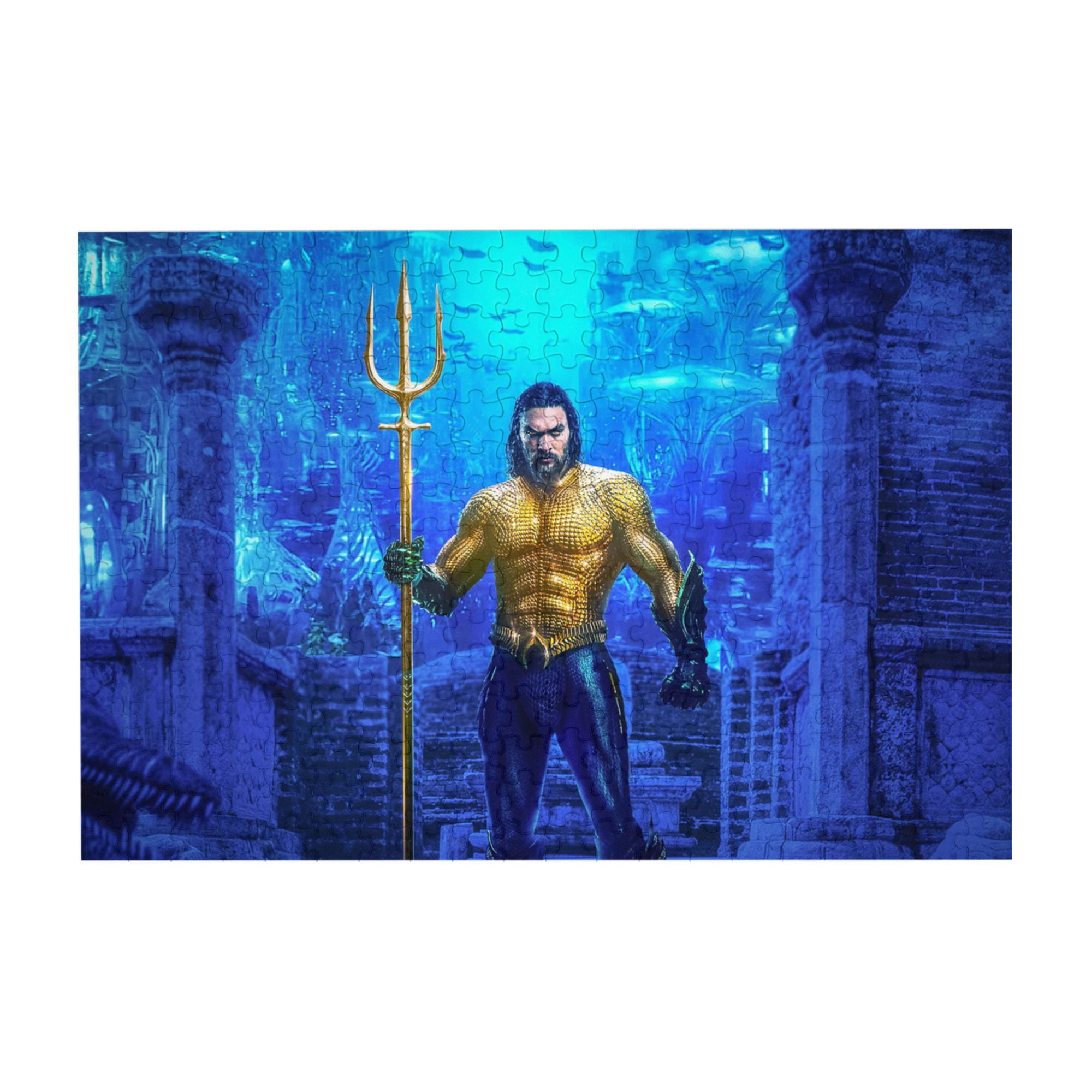 Aquaman 500 Piece Jigsaw Puzzle For Adults – 16 X 21.5 Inches, High-Quality Poster Style Puzzle