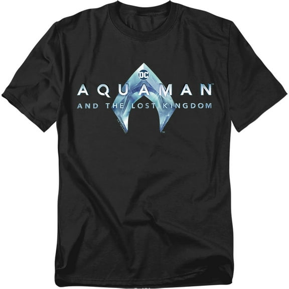 Aquaman And The Lost Kingdom T-Shirt Logo Unisex Graphic Tee For Men & Women