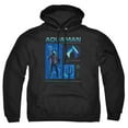 thumbnail image 1 of Aquaman and the Lost Kingdom Aquaman Stats Unisex Adult Pull-Over Hoodie, 1 of 5