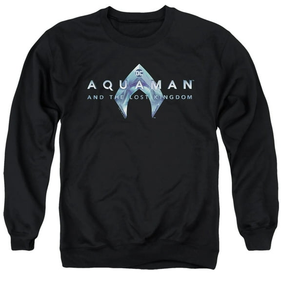Aquaman and the Lost Kingdom Logo Unisex Adult Crewneck Sweatshirt