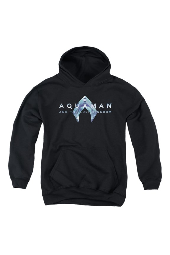 Aquaman and the Lost Kingdom Logo Youth Kids Boy/Girls Pull-Over Hoodie
