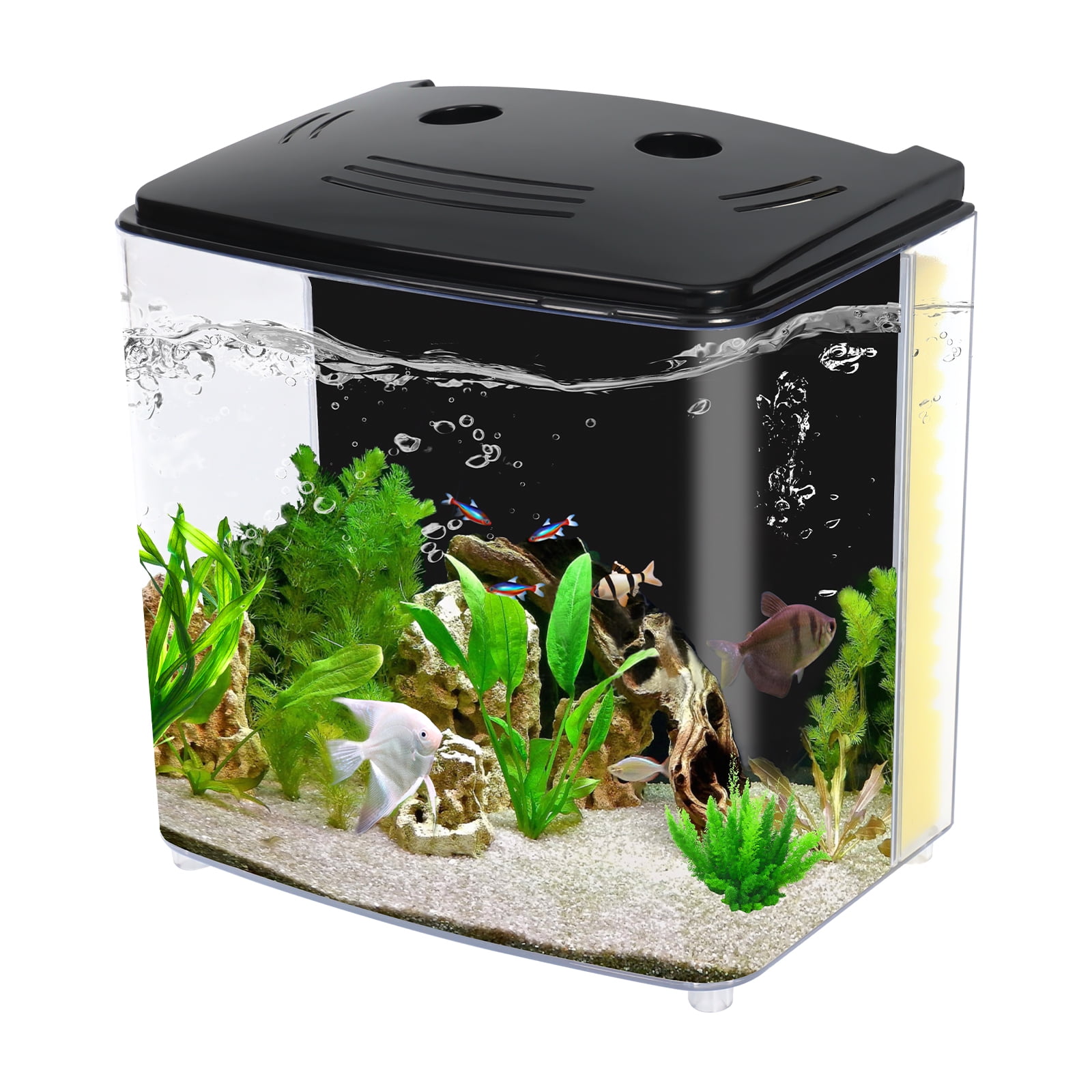 Aquaneat Fish Tank, 1.2 Gallon Aquarium, Small Betta Fish Tank
