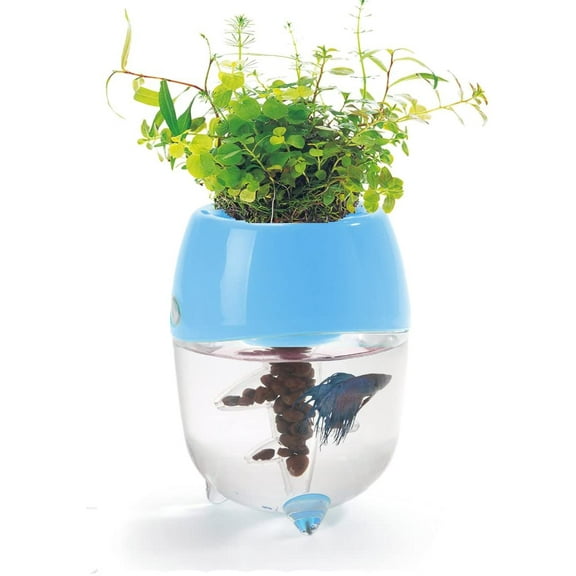 Aquaponic Aquarium for Betta Fish Tank Water Garden Planter Natural Ecosystem